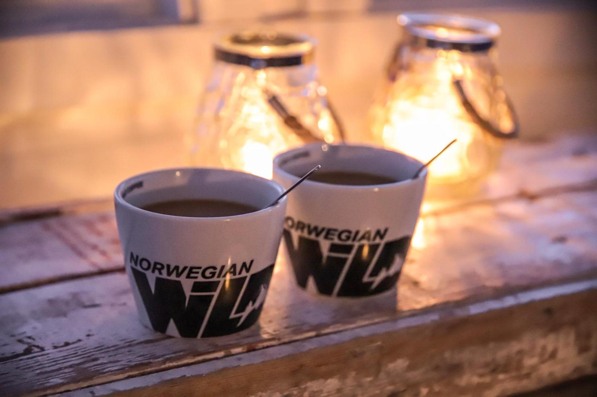 Norwegian Wild Villa Brygghaugen Kültér fotó